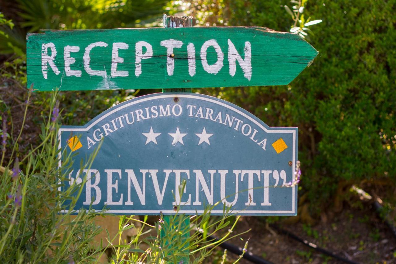 Agriturismo Tarantola アルカモ エクステリア 写真